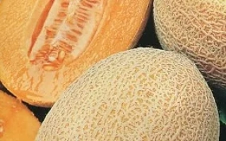 Seed packet of melon MIRON F1 with image of ripe fruits
