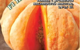 Seed packet for melon Unusual with image of ripe fruits