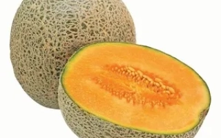Whole and sliced cantaloupe on white background - RAGO