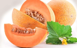 Sliced melon with seeds and leaves - Rugby