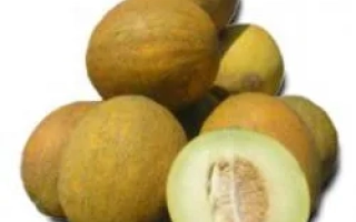 Роксолана F1