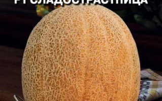 Сладострастница