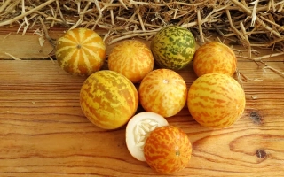 Several melons of different varieties on a wooden surface with straw in the background - Tiger