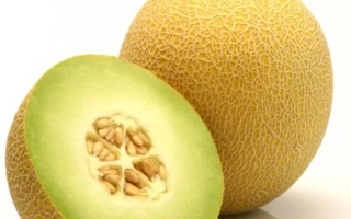 YUKAR melon: whole and sliced melon on white background