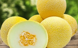 Sliced Uslada melon on wooden surface with whole fruits in background