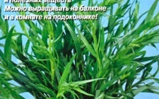 Король Трав