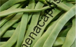 Пакет семян фасоли Спаржевая Аляска - АЛОНСО