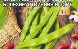 Пакет семян фасоли Ассоль с изображением стручков и зерен