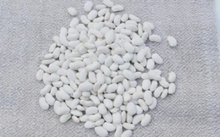 Белые фасольные зерна на светлом фоне - Билоснижка