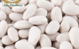 Белые фасольные зерна с логотипом 'Айра Дунаевка' - Буковинка