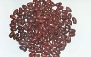 Кучка красных бобов на белом фоне - ГАЙДАРСЬКА