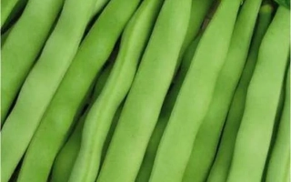 Хавская Универсальная