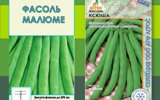 Пакет семян фасоли Малюме с изображением стручков