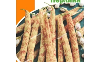 Пакет семян фасоли Перлина