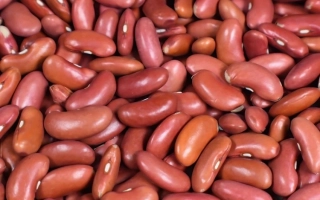 Крупный план красных бобов Подолянка