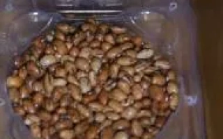 Фасоль в прозрачной упаковке - Рось