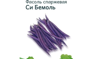 Пакет семян фасоли спаржевой Си Бемоль от бренда Добрый Урожай