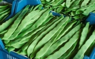 Юбилейная 250