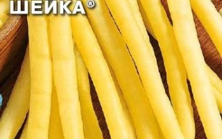 Золотая Шейка