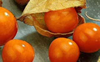 Спелые оранжевые плоды физалиса с сухими чехликами на сером фоне - Десертный