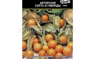 Пакет семян Колокольчик физалис