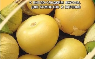 Пакет семян физалиса Кудесник от Гавриш