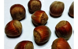 Барбакан БСИ