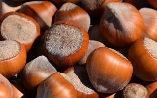 Барселонський