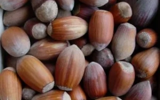 Боровской / Боровський