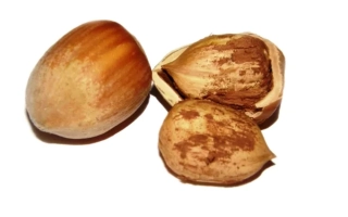 Истарски дугулжасти