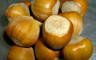 Каталонський