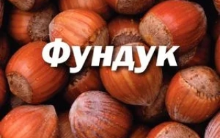 Новосилкивский
