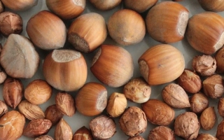 Сторожинецький