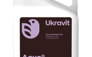 Bottle of fungicide Ayax by Ukravit with 5 L volume