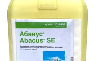 Абакус Плюс