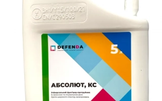 Бутылка с фунгицидом Абсолют, КС
