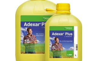 Два желтых канистры с фунгицидом Adexar Plus на зеленом фоне - АдексарСЕПлюс