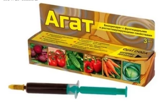 Packaging of fungicide Agat with vegetables and syringe depicted - Agat – 25 K