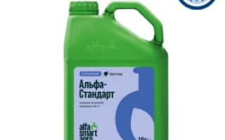 ALPHA – STANDARD K.S.