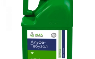 Зелёная канистра с этикеткой Альфа-Тебузол