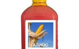 Алиос, т.к.с.