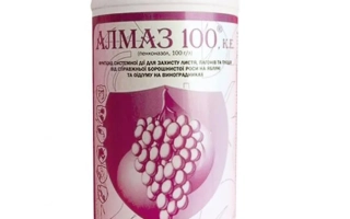 Алмаз 100 к.е.