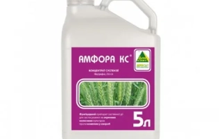 Бутылка с фунгицидом Амфора КС, объёмом 5 л