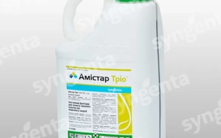 Бутылка с фунгицидом Амистар Трио 255 ЕС