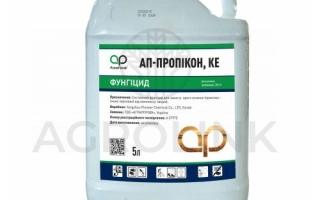 АП-Пропикон