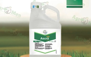 Ascra Xpro 260 EC