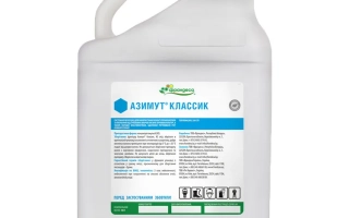 Азимут Класик