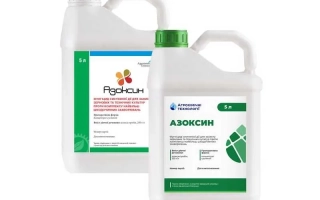 Azoxystrobin CS Fungicide