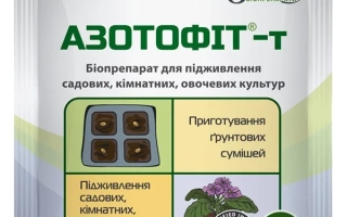 Fertilizer Azotofit-T for garden crops