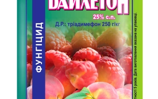 Байлетон 25 WР